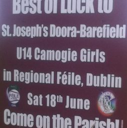 Feile Poster