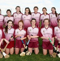junior-camogie-panel-2017-team-photo