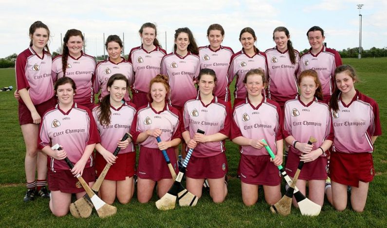 junior-camogie-panel-2017-team-photo