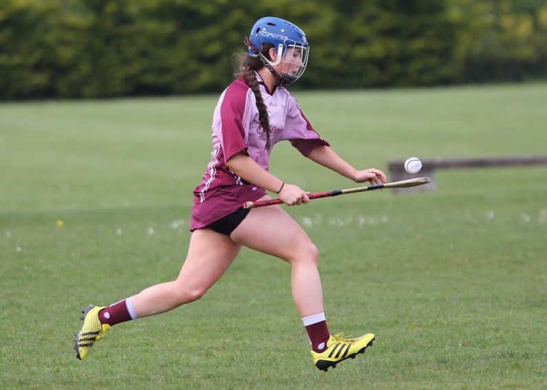 junior-v-clarecastle-ballyea-league-rd-1-pic-8